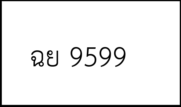 ฉย 9599